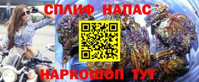 PSILOCYBIN Кумертау