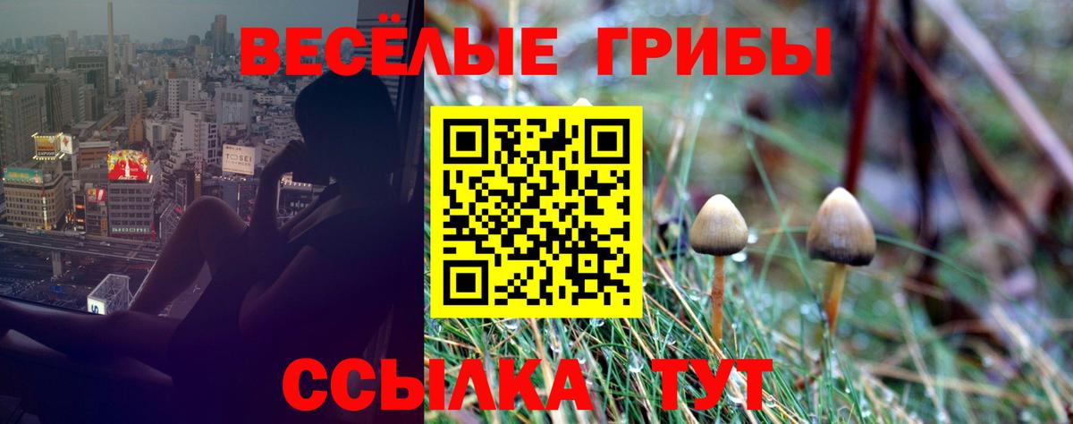 Топки  Галлюциногенные грибы мицелий  Вход с VPN 